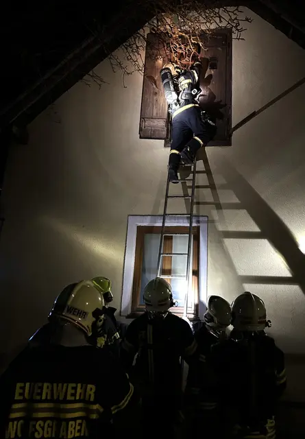Bei einem Funkenflug in der Hauptstarße musste die FF Wolfsgraben schnell handeln. | Foto: FF Wolfsgraben
