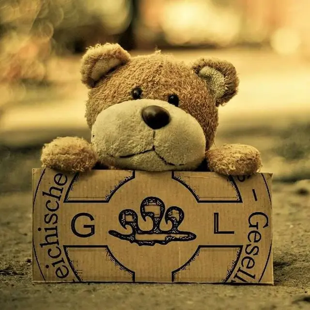 Foto: ÖLRG Bundesverband Österreich