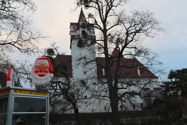 Foto: Manfred Wlasak