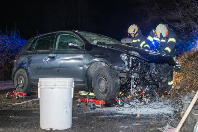 Foto: TEAM FOTOKERSCHI / MATTHIAS KALTENLEITNER