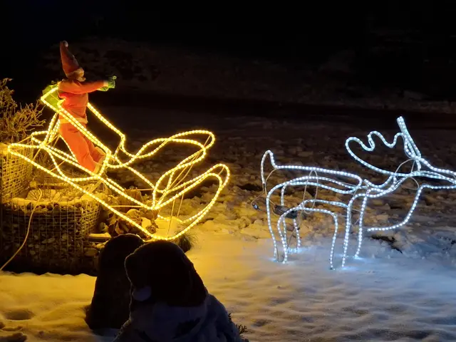 Das Weihnachtshaus zwischen Bad Kreuzen und Pabneukirchen an der Greinerwald Landesstraße.  | Foto: Zinterhof