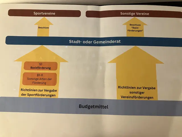 Diese Grafik von Stefan Eitler zeigt die unterschiedlichen Förderschienen für Vereine in Baden. | Foto: Stockmann