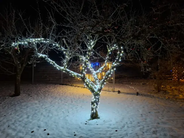 Das Weihnachtshaus zwischen Bad Kreuzen und Pabneukirchen an der Greinerwald Landesstraße.  | Foto: Zinterhof