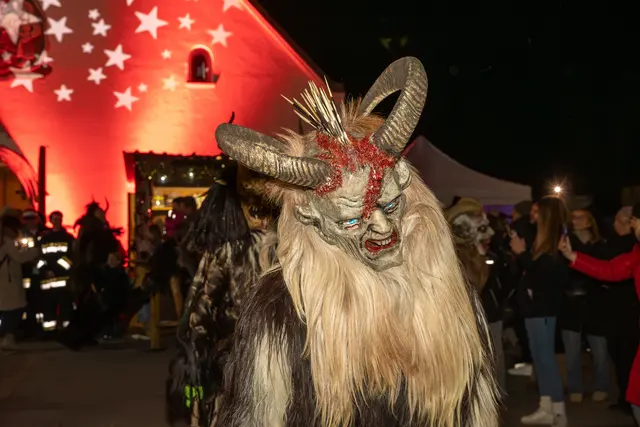 Foto: cine-motion.at / R. Ivanek