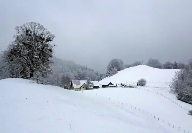 Ein Wintermärchen auf dem Weg zum Goganz