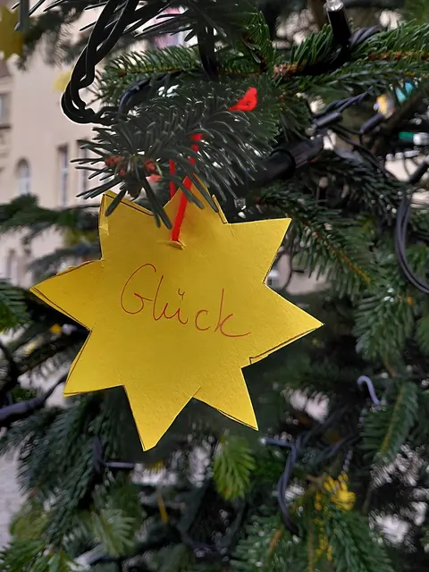 Ein Wunschbaum vor der Volksschule  | Foto: H.Bachinger