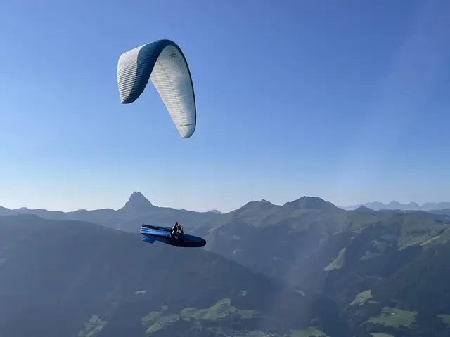 Foto: Wildkogelfalken