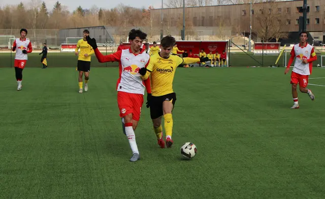Schüler der BHAK/BHAS Bad Ischl beim Spiel gegen die U18 von Red Bull Salzburg | Foto: BHAK/BHAS Bad Ischl