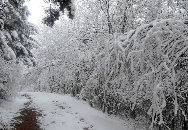 Beim Aufstieg, der Schnee wird mehr.
