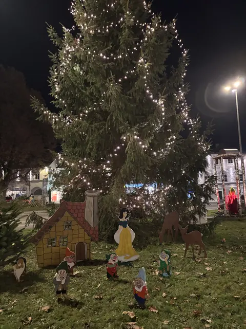 Foto: MeinBezirk Perg/Köck