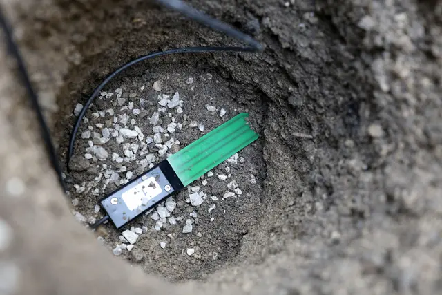 Die Sensoren für die Baumbewässerung können verschiedene Daten erfassen, die dann weiter ausgewertet werden können.  | Foto: Stadt Wien/Martin Votava