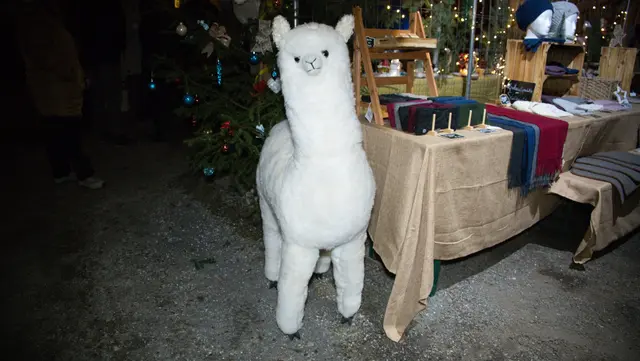 Foto: Norbert Ortner