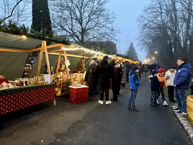 Weihnachtlicher Lichterglanz in der Kellergasse. | Foto: Alexandra Goll