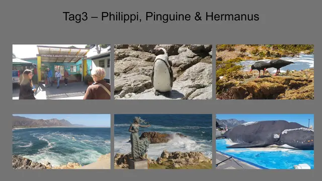 27.10.2025 In Philippi besuchten wir das Sozialprojekt iThemba Labantu. Entlang der Küste fuhren wir zur Stony Point Penguin Colony. Danach ging es nach Hermanus, bekannt für Walbeobachtungen und den Klippenpfad.