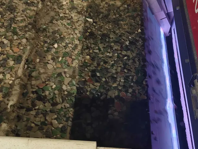 Foto: Sadiki-Peckary