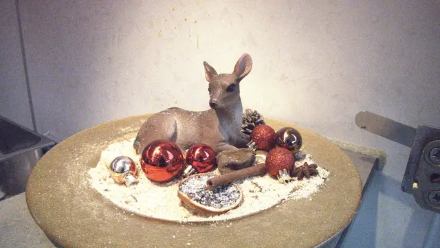 Foto: Norbert Ortner