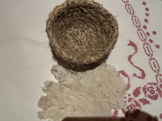 Aus dem so genannten Werg fertigt Maria Obermeier verschiedene Dinge wie Körbchen oder Papier an.  | Foto: MeinBezirk/Angelina Koidl