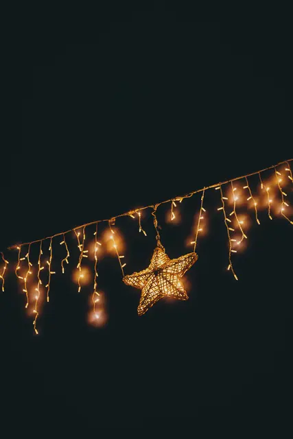 Foto: Stefanie Oberhauser