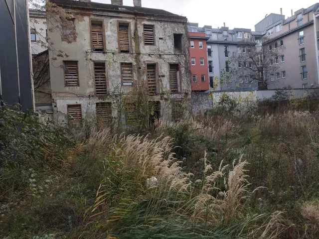 Auf dem Grundstück in der Hasengasse 5-7 wuchert das Gras, verziert von Bierdosen, Plastiksackerl und Co. Eigentlich sollte hier statt 2022 ein Neubau stehen. | Foto: Nathanael Peterlini/MeinBezirk