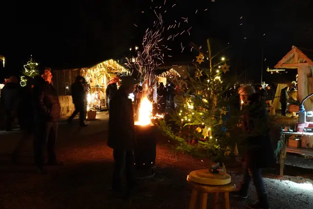 Foto: MeinBezirk/Michael Blinzer