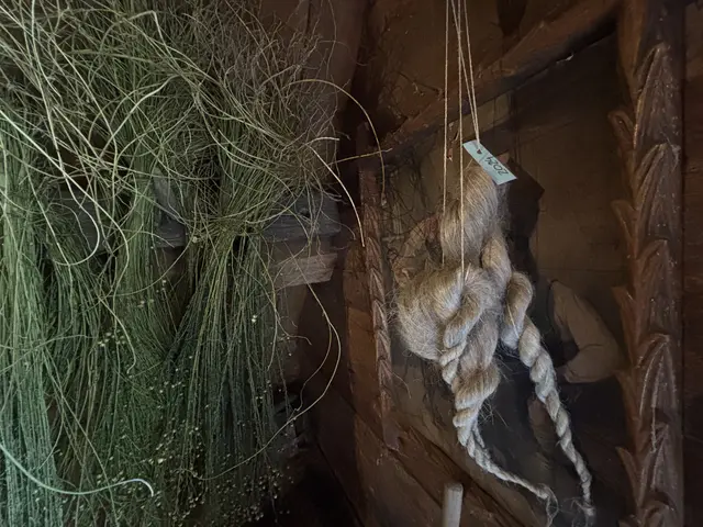 Foto: MeinBezirk/Angelina Koidl