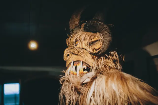 Foto: Stefanie Oberhauser