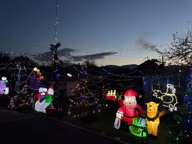 Insgesamt war Tömel etwa drei Wochen mit den Aufbauarbeiten für sein persönliches Weihnachtsparadies beschäftigt. | Foto: MeinBezirk (8)
