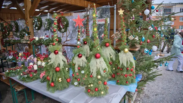 Foto: Norbert Ortner