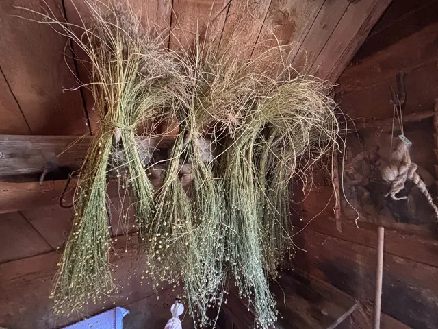 Im Troadkasten: Hier hängt der Flachs, um zu trocknen. | Foto: MeinBezirk/Angelina Koidl