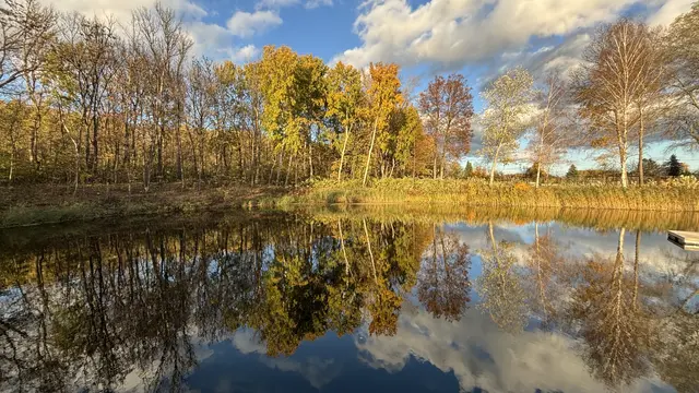 Am Mauterner Badeteich "wohnt" ein Eisvogel