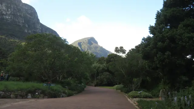 25.10.2025 im Kirstenbosch National Botanical Garden