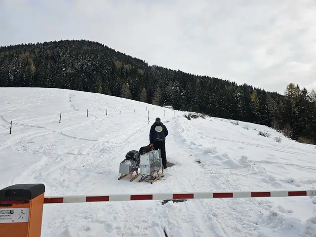 Mit Schlitten und Lebendfallen machten sich die Mitarbeiter der Pfotenhilfe auf die Suche nach den Katzen. | Foto: Pfotenhilfe Lochen