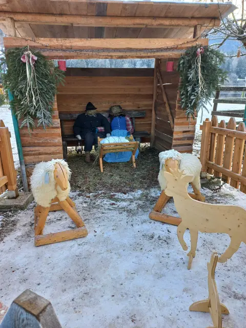 Stille Beobachter  | Foto: Fotos:  Renate Kronsteiner