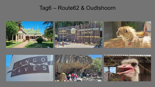 30.10.2025 Über den Outeniqua-Pass erreichten wir Oudtshoorn, Zentrum der Straußenindustrie. Wir besuchten  die Cango Wildlife Ranch, die Cango Caves, und eine Straußenfarm.