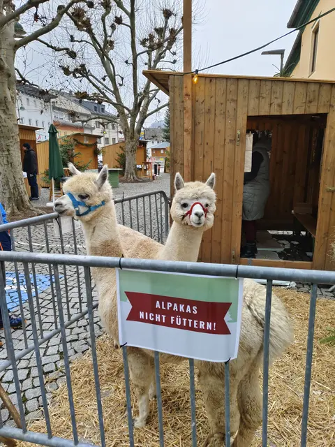 Foto: Marktgemeinde Schwertberg