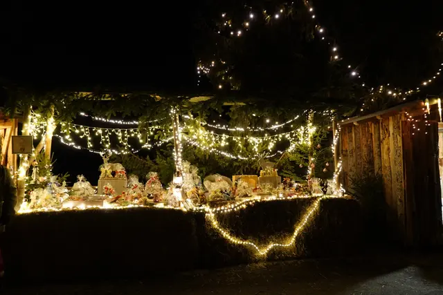 Foto: MeinBezirk/Michael Blinzer