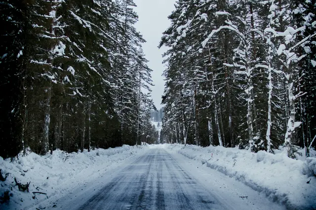 In höheren Lagen Niederösterreichs gibt es vereinzelt Schneefahrbahnen. (Symbolfoto) | Foto: Pexels
