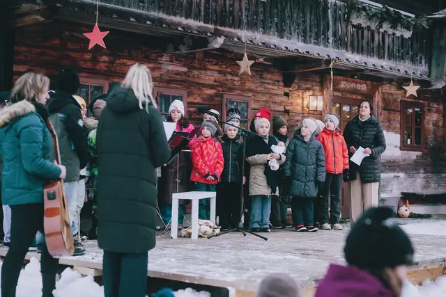 Foto: Stefanie Oberhauser