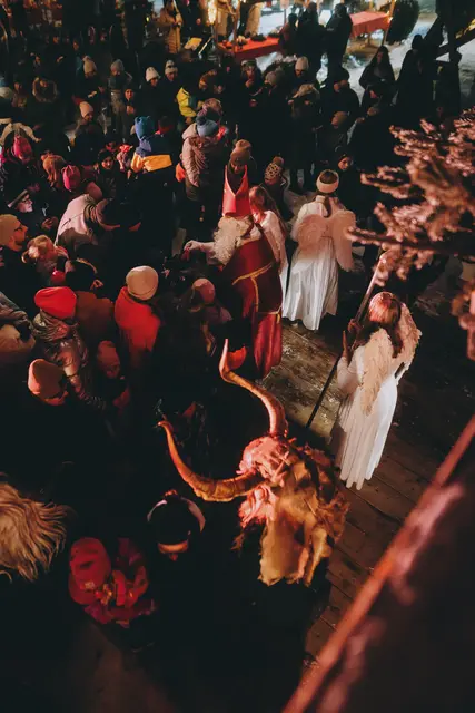 Foto: Stefanie Oberhauser