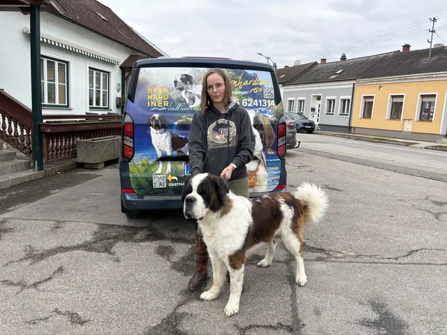 Foto: Alexandra Goll
