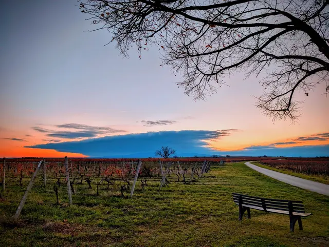 Stimmungsvolles Farbenspiel über der burgenländischen Landschaft – ein magischer Novembermoment aus unserer Region, der zeigt, wie eindrucksvoll sich der Spätherbst verabschiedet. | Foto: Gerti Maszlovits