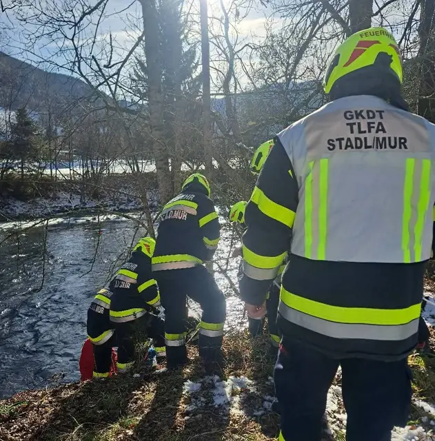 Die Feuerwehr war zur Stelle. | Foto: Feuerwehr Stadl an der Mur