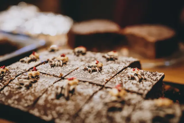 Foto: Stefanie Oberhauser