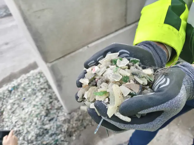 Foto: Sadiki-Peckary