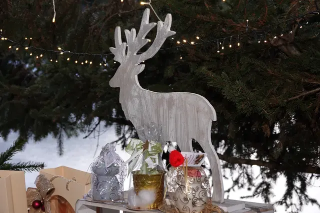 Foto: MeinBezirk/Michael Blinzer