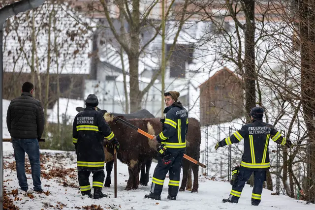Foto: Fotokerschi/Flanz Plechinger