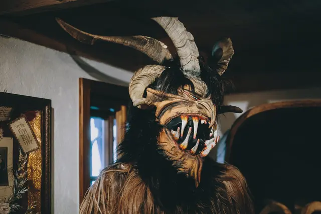 Foto: Stefanie Oberhauser