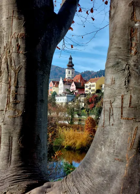 Spätherbst in Frohnleiten 🍁🍂