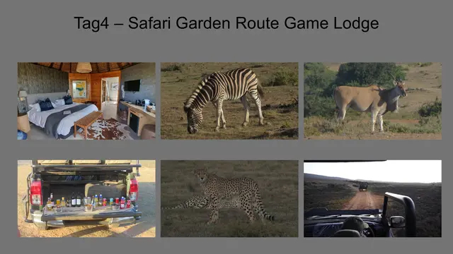 28.10.2025 Über Swellendam und Riversdale erreichten wir die Garden Route Game Lodge. Das private Reservat umfasst 2.000 Hektar und bietet Safari-Erlebnisse mit Löwen, Elefanten und Nashörnern.