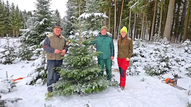 Viktoria Hutter suchte den Baum gemeinsam mit der Familie Fasching aus. | Foto: VPNÖ